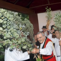 Romería de El Poleo - El Amparo