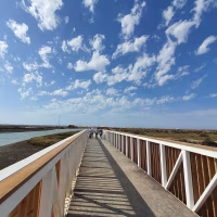 Ruta nocturna interpretada San Fernando-Chiclana