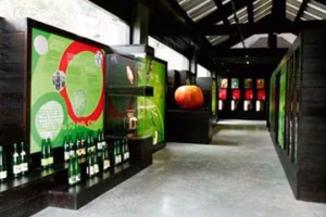 Sagardoetxea, sagardoaren museoa - erakusketa eta bisitak