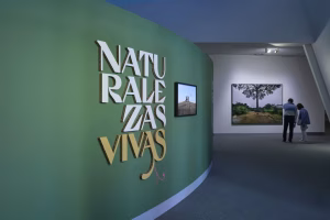 Taller en familia - Naturalezas Vivas
