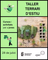 Taller terrari d'estiu