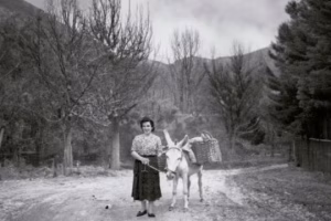 UDAKO IRAKURLE TALDEA: "Urte urdin ihesak" ("Txiliku")