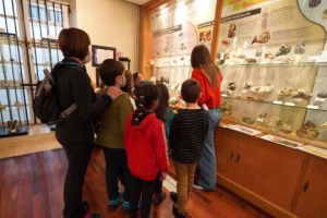 Urrelur Museoa (erakusketa iraunkorra eta bisita gidatuak)