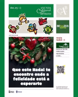 XLIII Programa de Navidad y Año Nuevo  en Betanzos