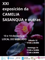 XXI Exposición da Camelia Sasanqua e Outras Especies en Boiro