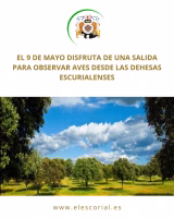 Salida para observar aves en las dehesas escurialenses