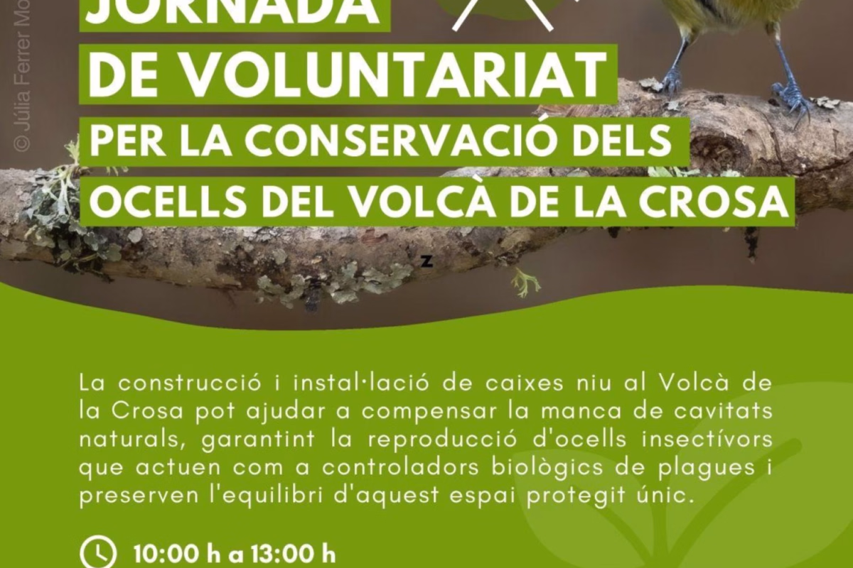 Jornada de voluntariat per la conservació dels ocells del Volcà de la Crosa en Bescanó