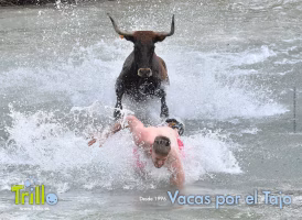 Vacas por el Tajo - 30 Aniversario