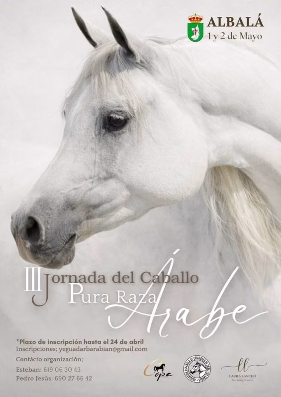 III Jornada del Caballo Pura Raza Árabe en Zarza de Montánchez