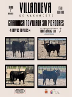 Grandiosa novillada sin picadores