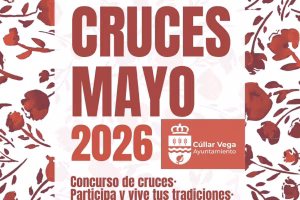 Concurso de Cruces de Mayo