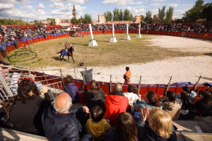 Complutum Renacida: Festival Romano de Alcalá de Henares