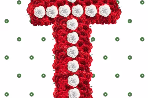 Concurso de decoración de cruces