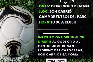 Torneig de Futbol Futbol 7