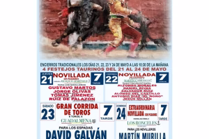 Novillada sin picadores