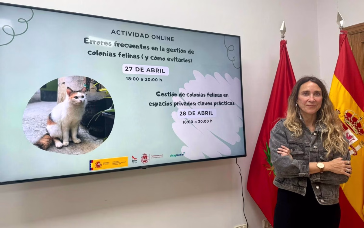 Gestión de colonias felinas en espacios privados: claves prácticas en Elda
