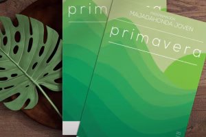 Taller de juegos inclusivos y adaptados