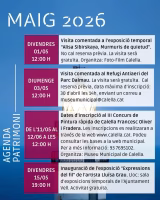 Visita comentada a l'exposició temporal 'Alisa Sibirskaya, Murmuris de quietud'