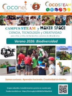 CAMPUS DE VERANO EN COCONET MENTES CREATIVAS