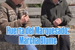 Marcha Blume