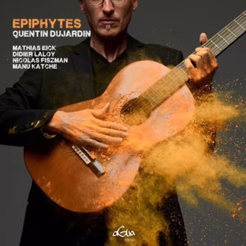 Épiphytes en Bilbao