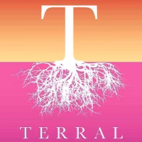 'Festival de Verano Terral' Jerez, Tierra de Flamenco