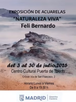 Naturaleza viva. Feli Bernardo