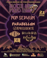 Rock in Pino XIII