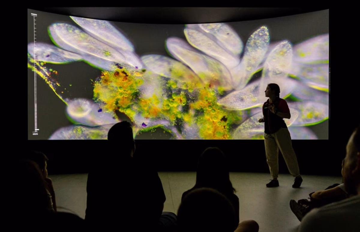 Taller obert 'Explora amb llum' en Barcelona