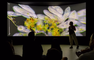 Taller obert 'Explora amb llum'