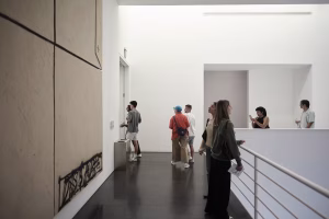 Visites comentades a "Com una dansa d’estornells". Col·lecció MACBA: Trenta anys i infinites formes de ser